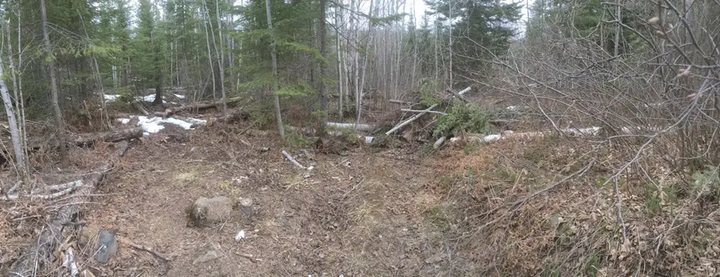 panoramic photo of south lake trail fork in the trail